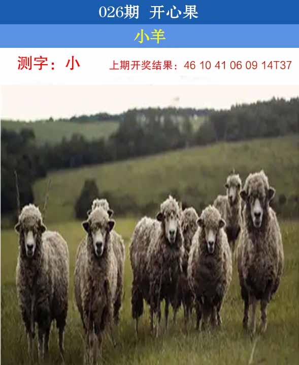026期开心果[图]