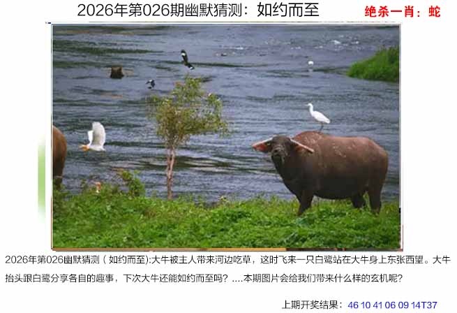 026期幽默猜测[图]