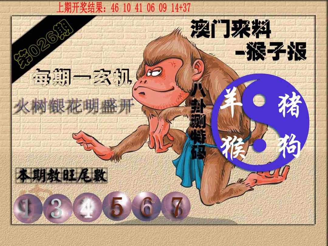 026期(来料)猴报[图]