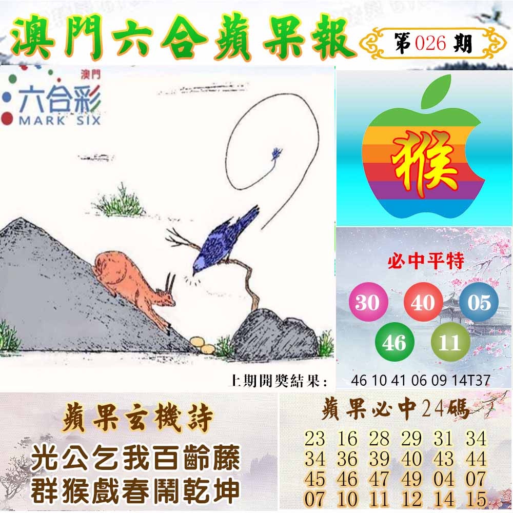 026期苹果报[图]