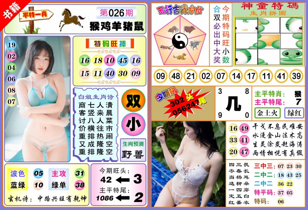 026期澳门五行白姐[图]