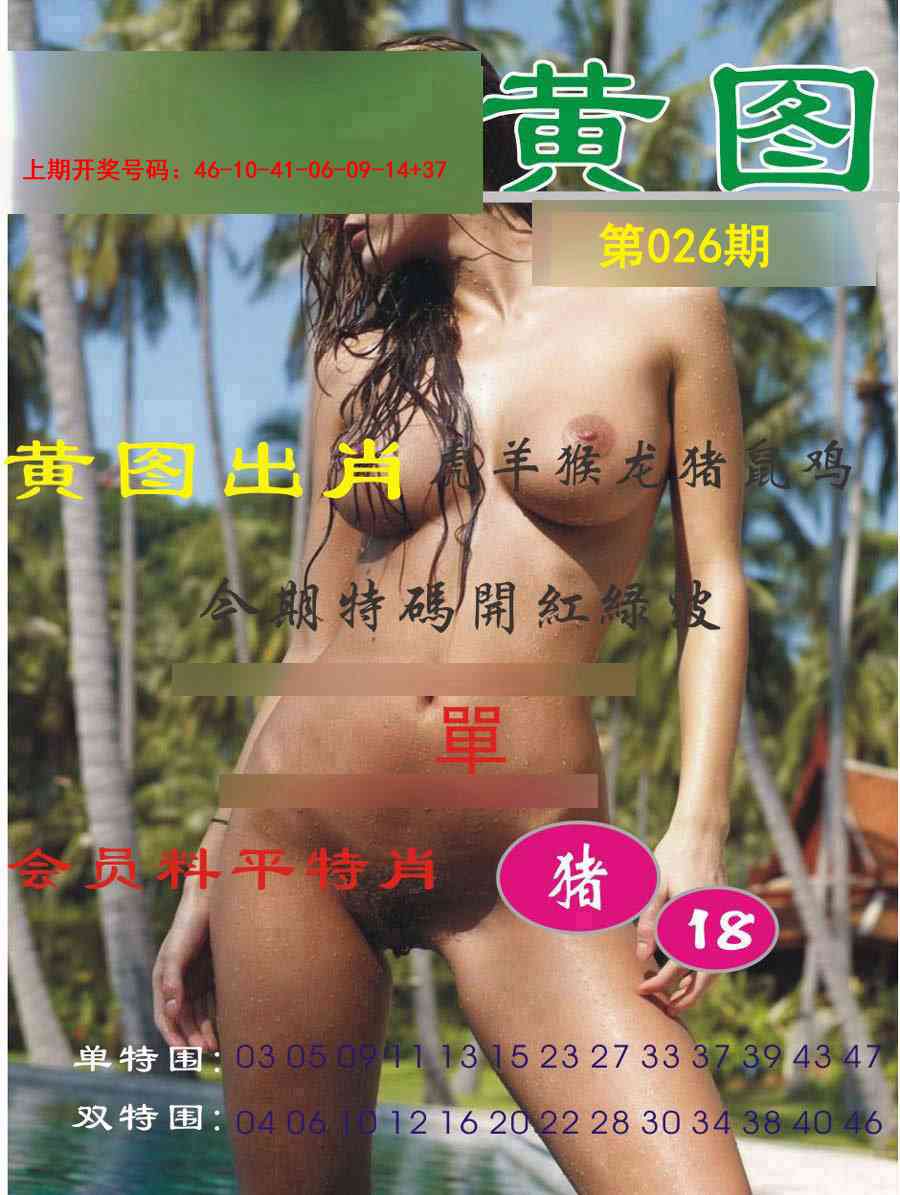 026期黄图[图]