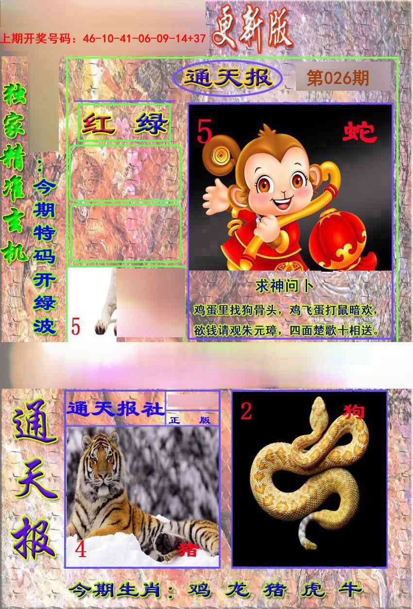 026期新通报[图]
