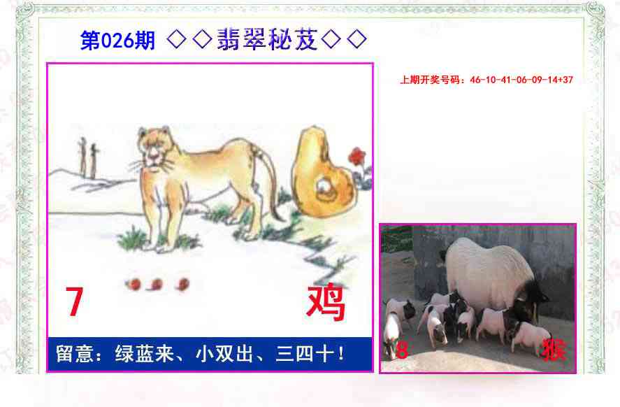 026期翡翠报[图]