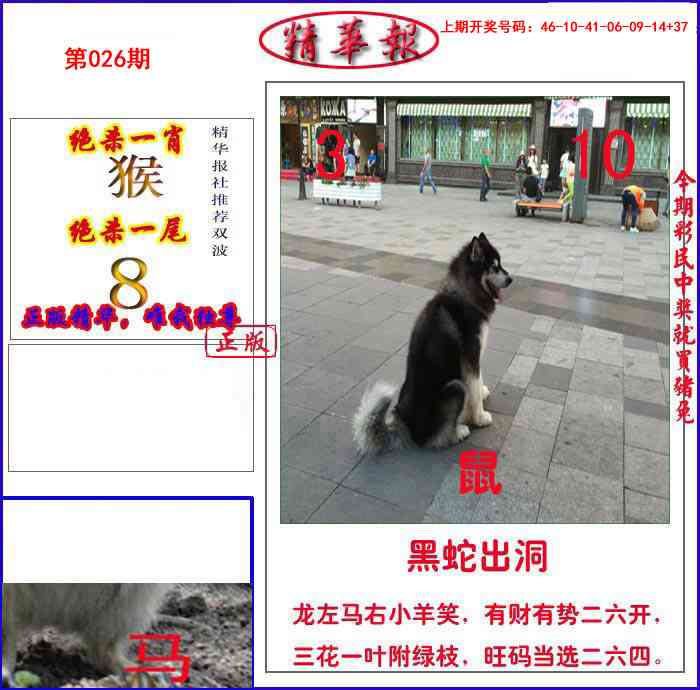 026期新精华报报[图]