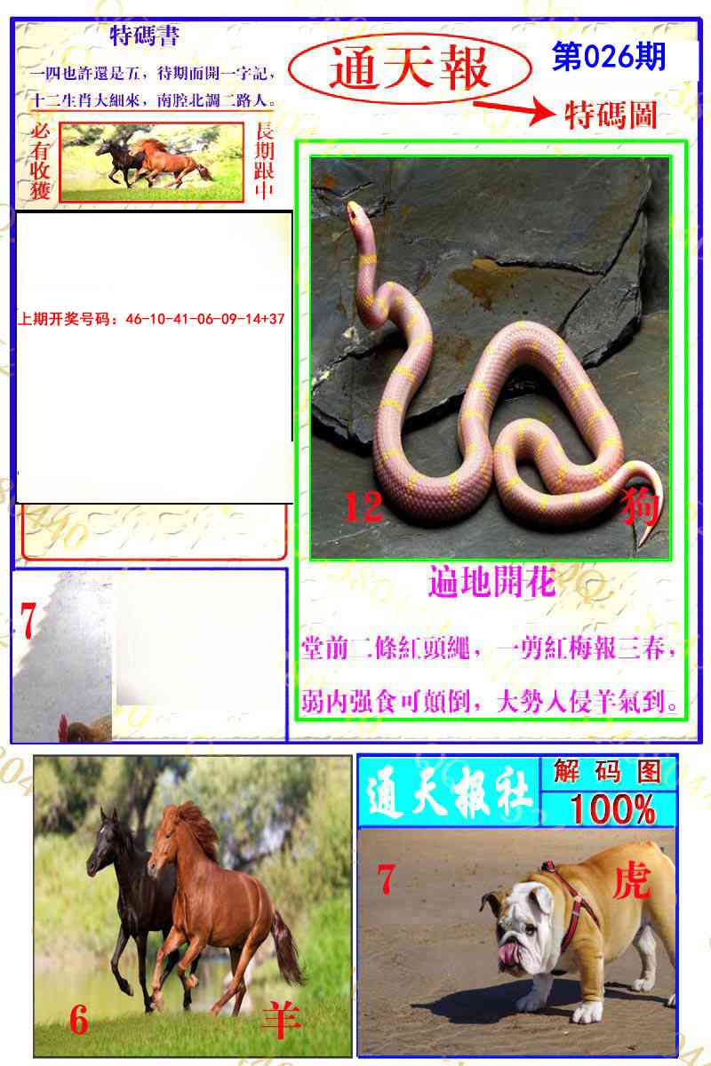 026期通天特解图[图]