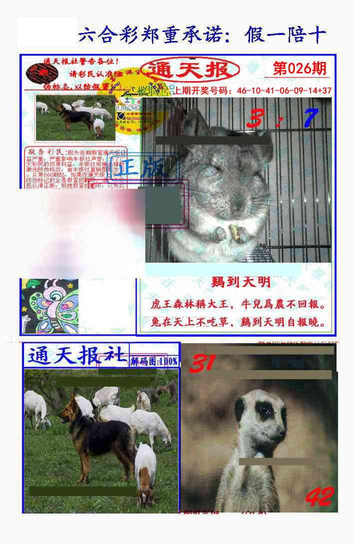 026期假一陪十通天报[图]