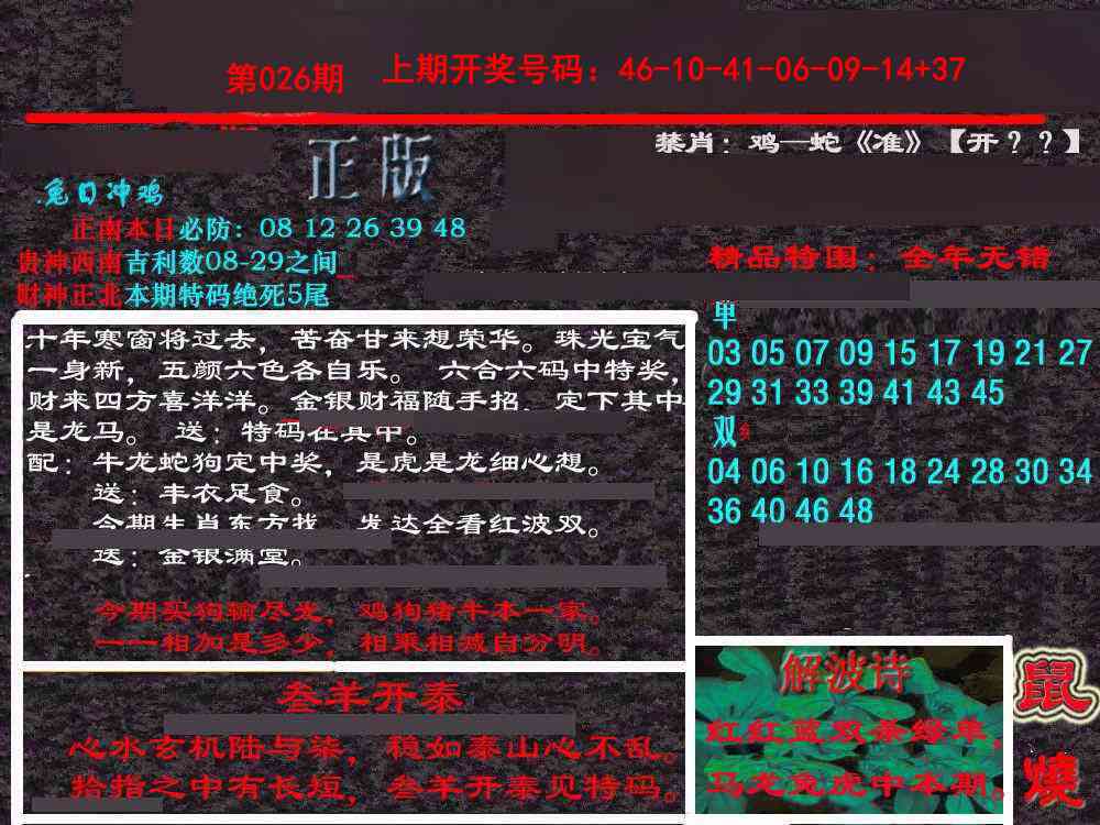 026期新港内幕[图]