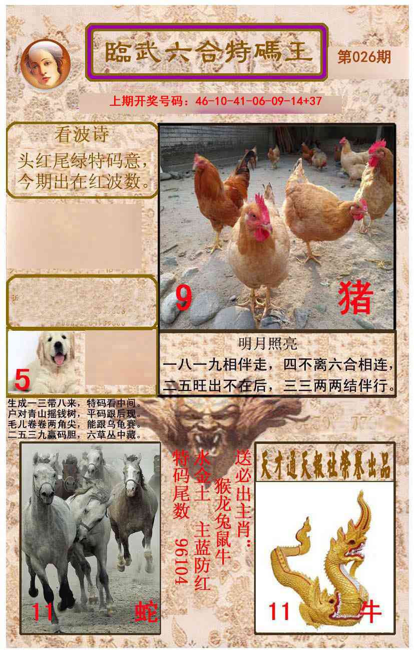 026期临武六合特码王[图]