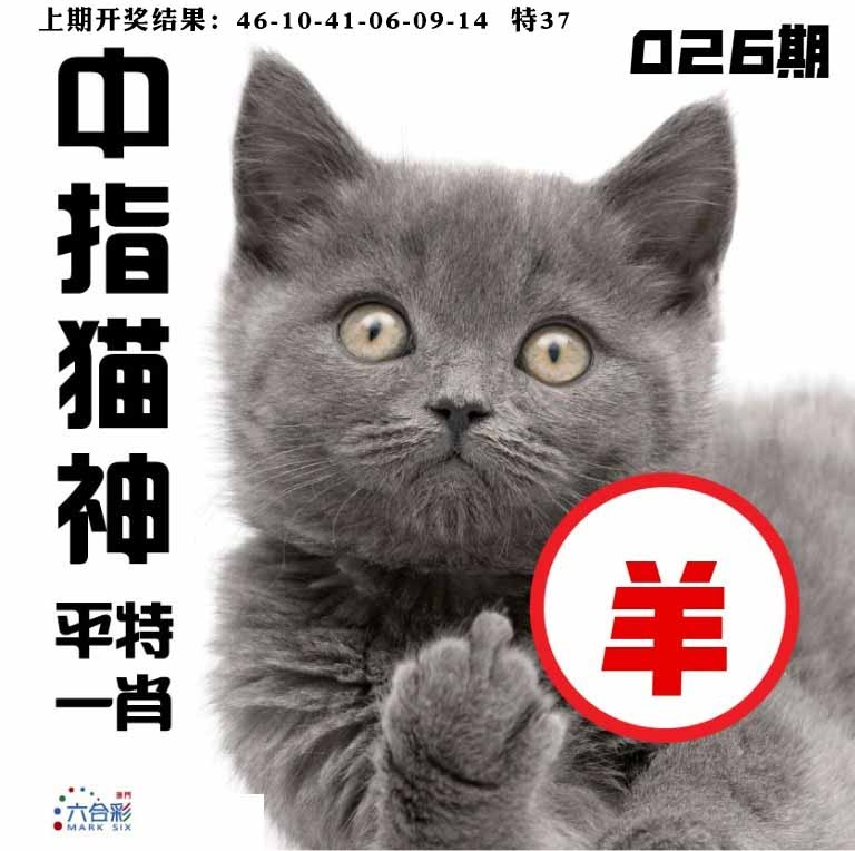 026期中指猫神[图]