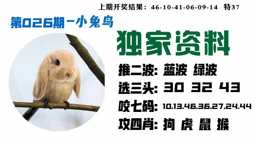 026期小兔鸟[图]